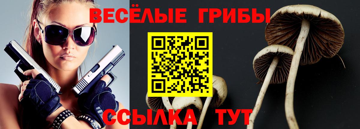 Псилоцибиновые грибы Magic Shrooms Будённовск